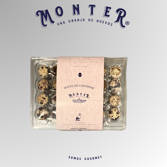 Huevo de Codorniz Monter – Empaque PET Cuadrado 24 Unidades