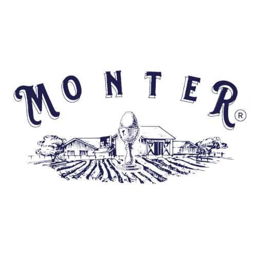 MONTERAVI logo